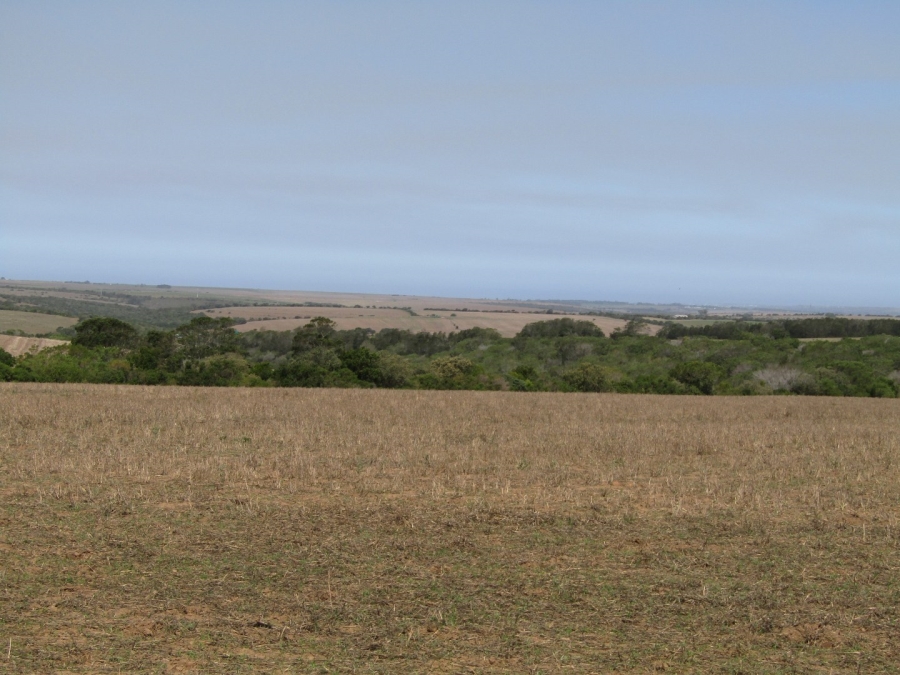Commercial Property for Sale in Humansdorp Rural Eastern Cape